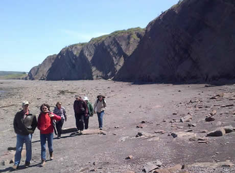 a group of members of the Joggins Fossil Institute Science Advisory Committee walking the beach at Joggins, Nova Scotia.