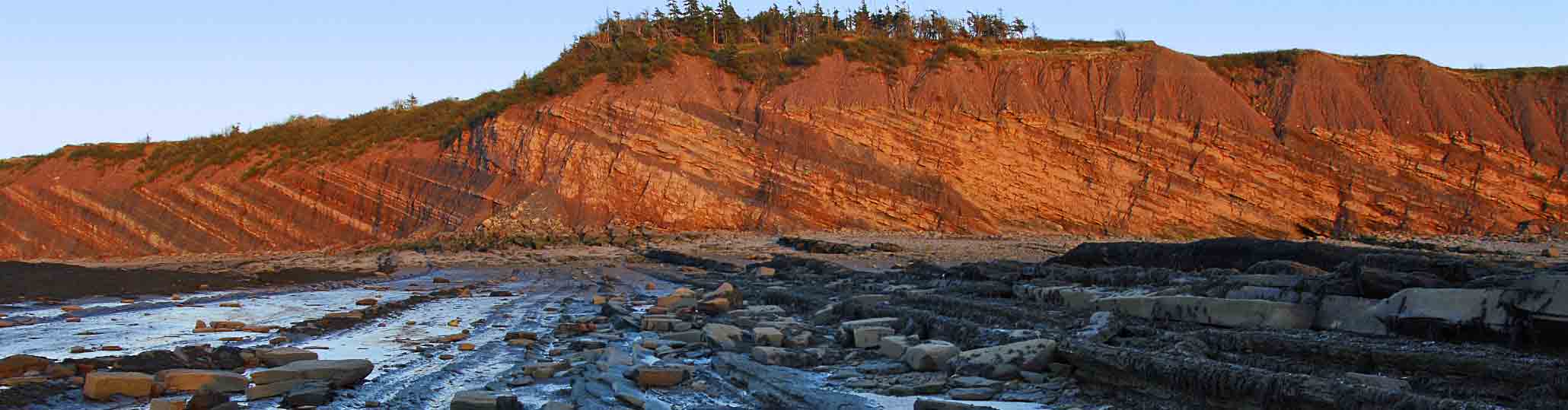 Joggins Fossil Cliffs at golden hour, low tide