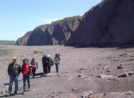 Group walking on the beach at Joggins, Nova Scotia