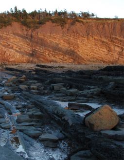 Cliffs and reefs at low tide in Joggins, N.S.