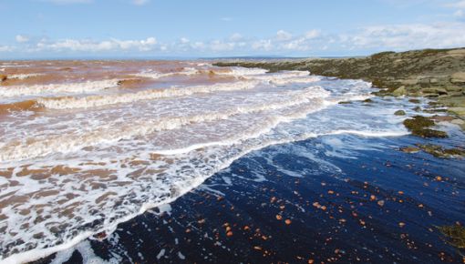 Tide coming in at Joggins