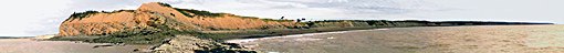 Panorama of the Pennsylvanian rocks and Quaternary glacial till overlying the ancient wave-cut platform (Andrew MacRae photograph)