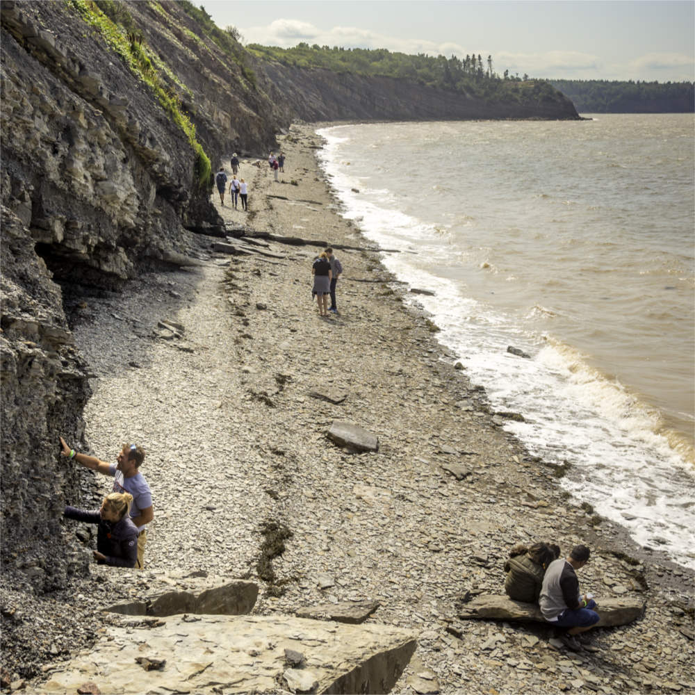 People exploring the beach and the cliffs at Joggins, Nova Scotia