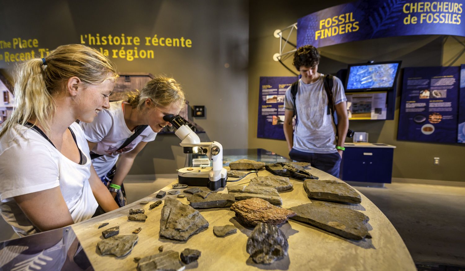 Visitors examining the fossils in the gallery at the Joggins Fossil Centre